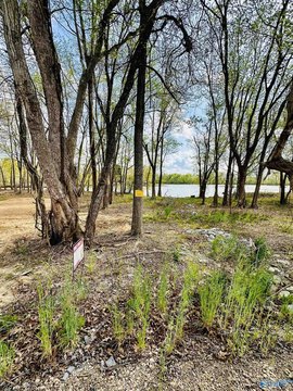 Land with Weiss Lake Views
