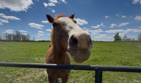 Fort Wayne Residential Land Opportunity