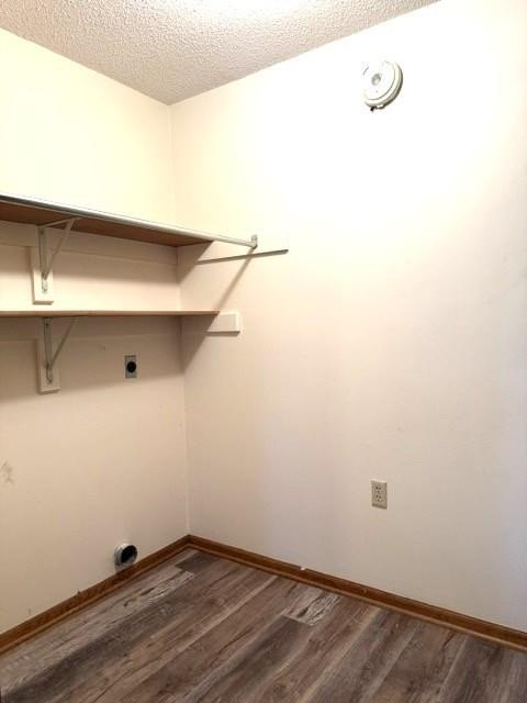 Picture 22