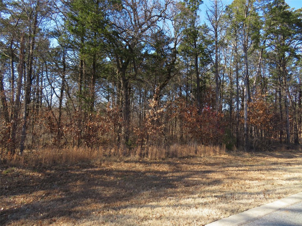 Picture 4