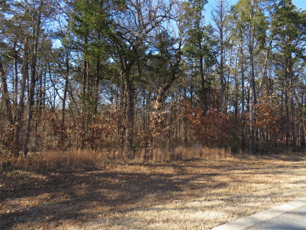 Picture 3