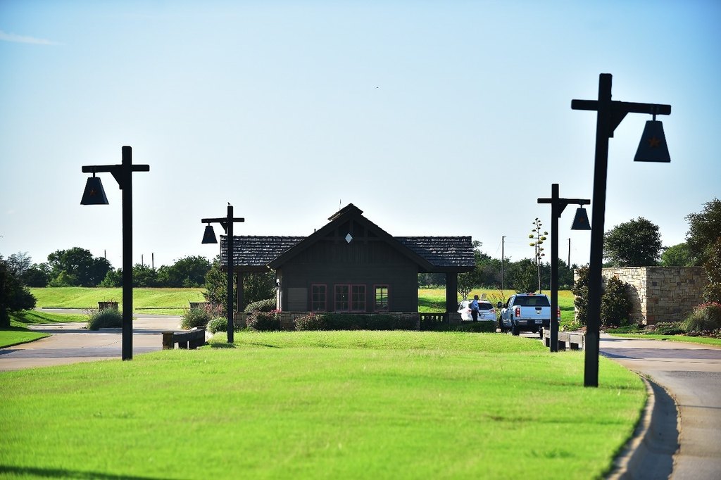 Picture 8
