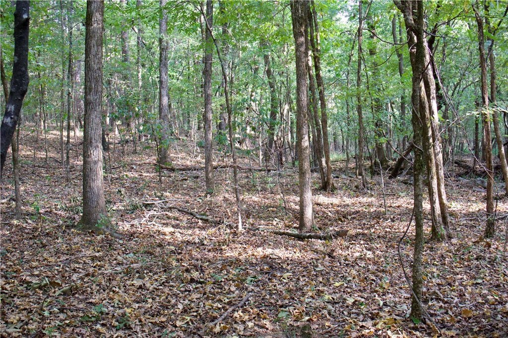 Picture 30