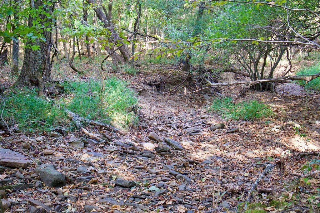 Picture 36