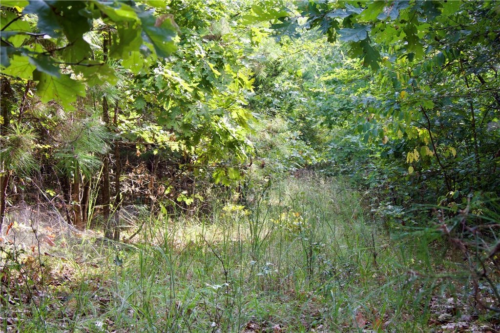 Picture 18