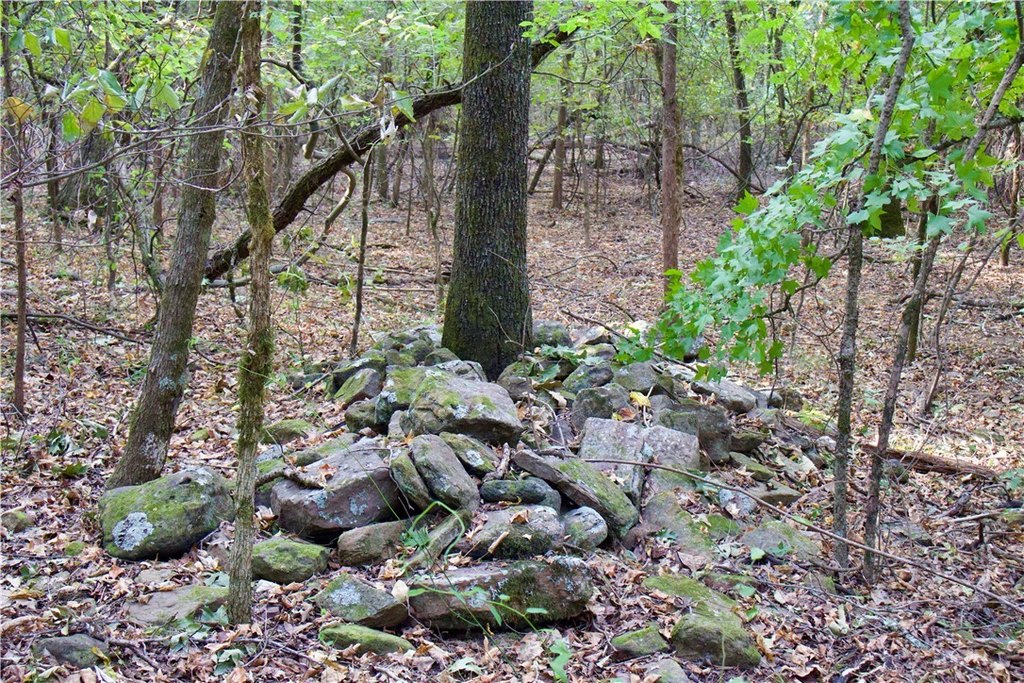Picture 38