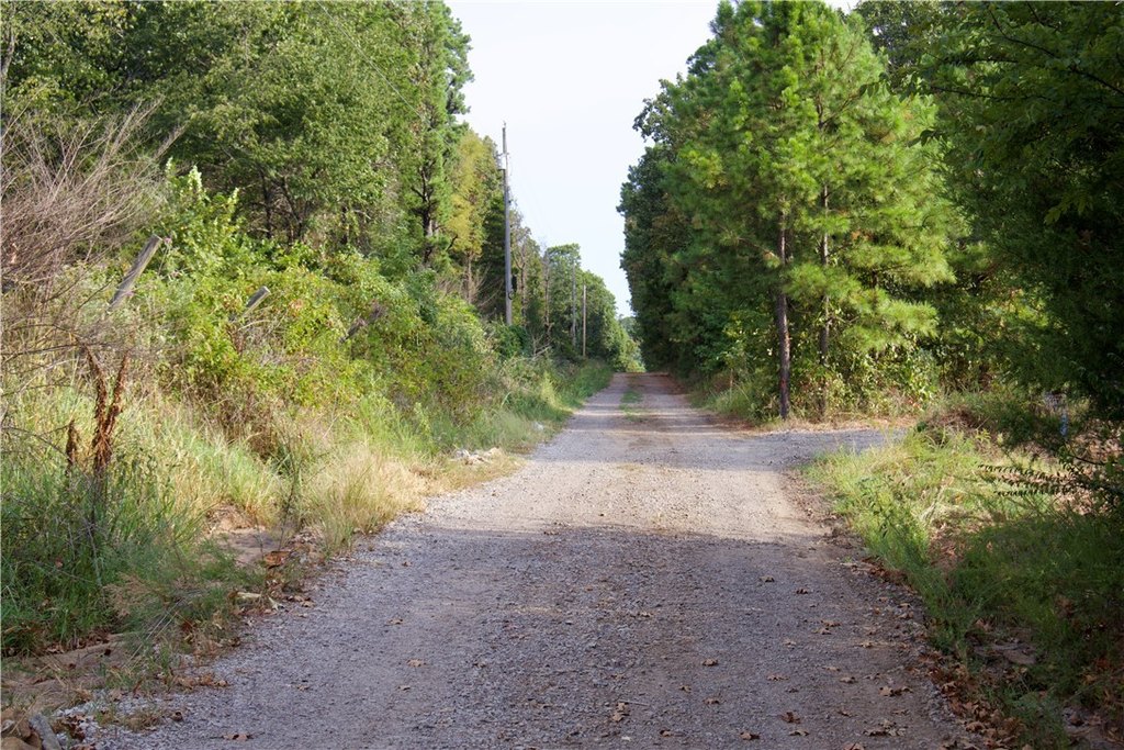 Picture 11