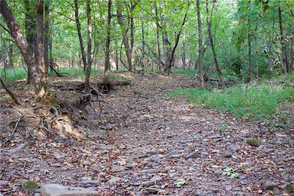Picture 32