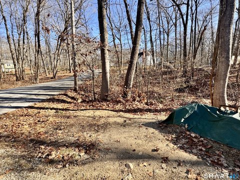 Land in Amston Lake Community