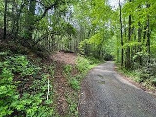Dahlonega Land with Development Potential