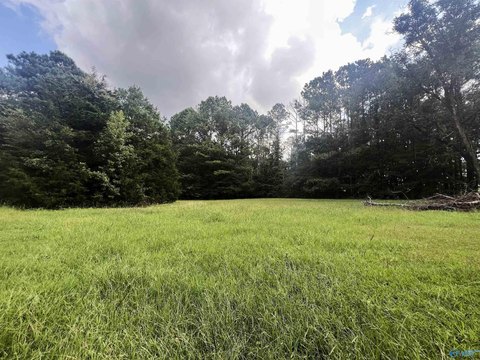 Unrestricted Land Near I-20