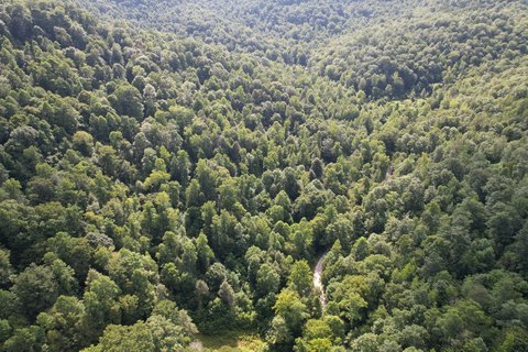 Waterfront Hunting and Recreation Land