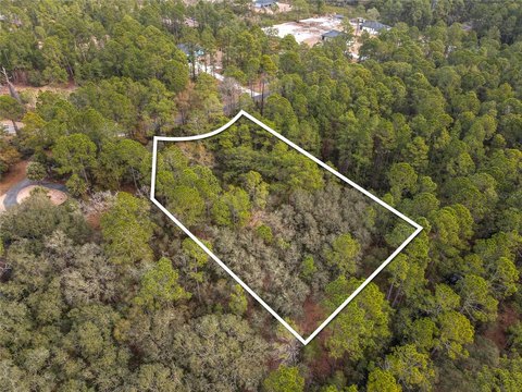 EUSTIS, FL Homesite Acreage