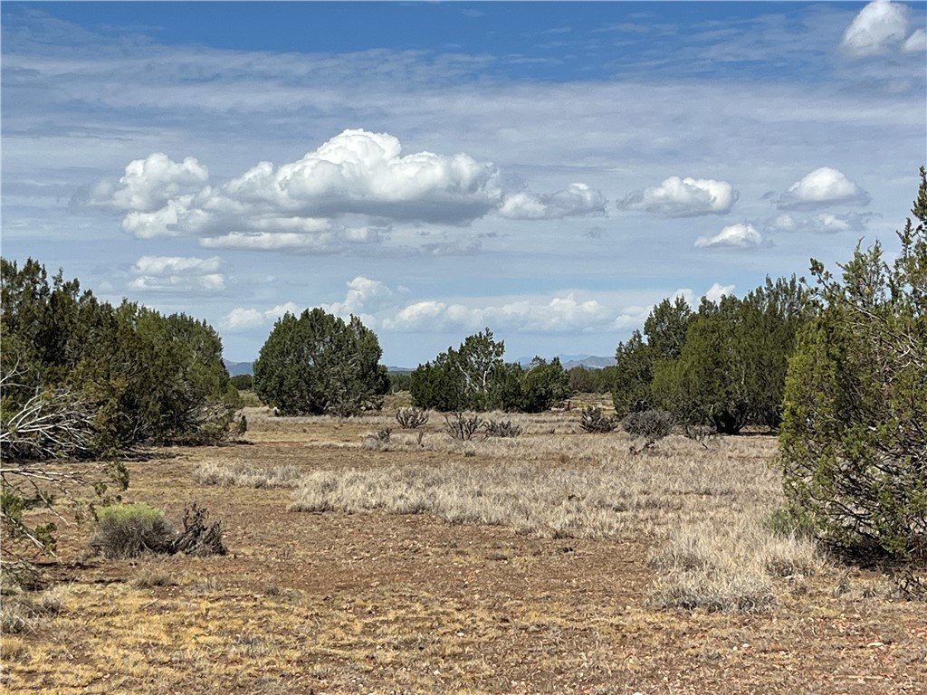 Picture 7