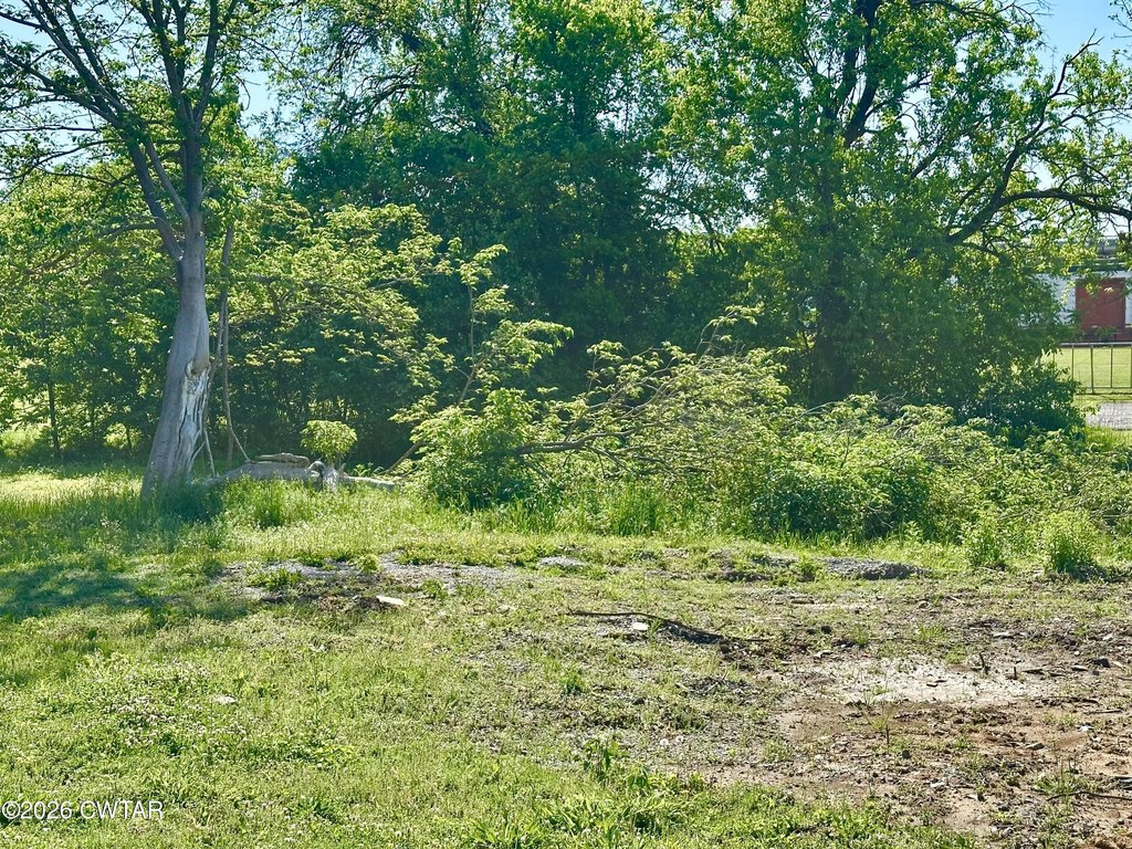 Picture 4