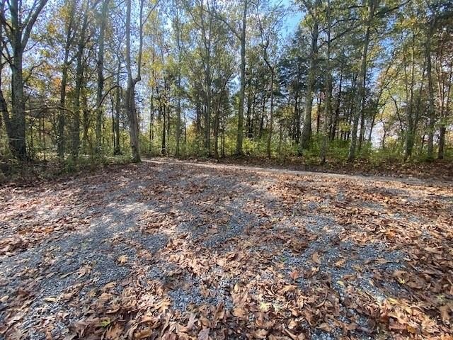 Land in Brooksville, Kentucky