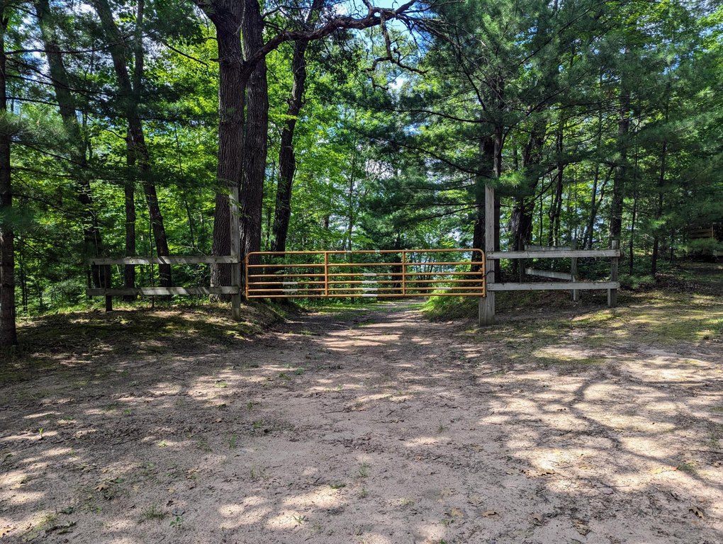 Picture 11