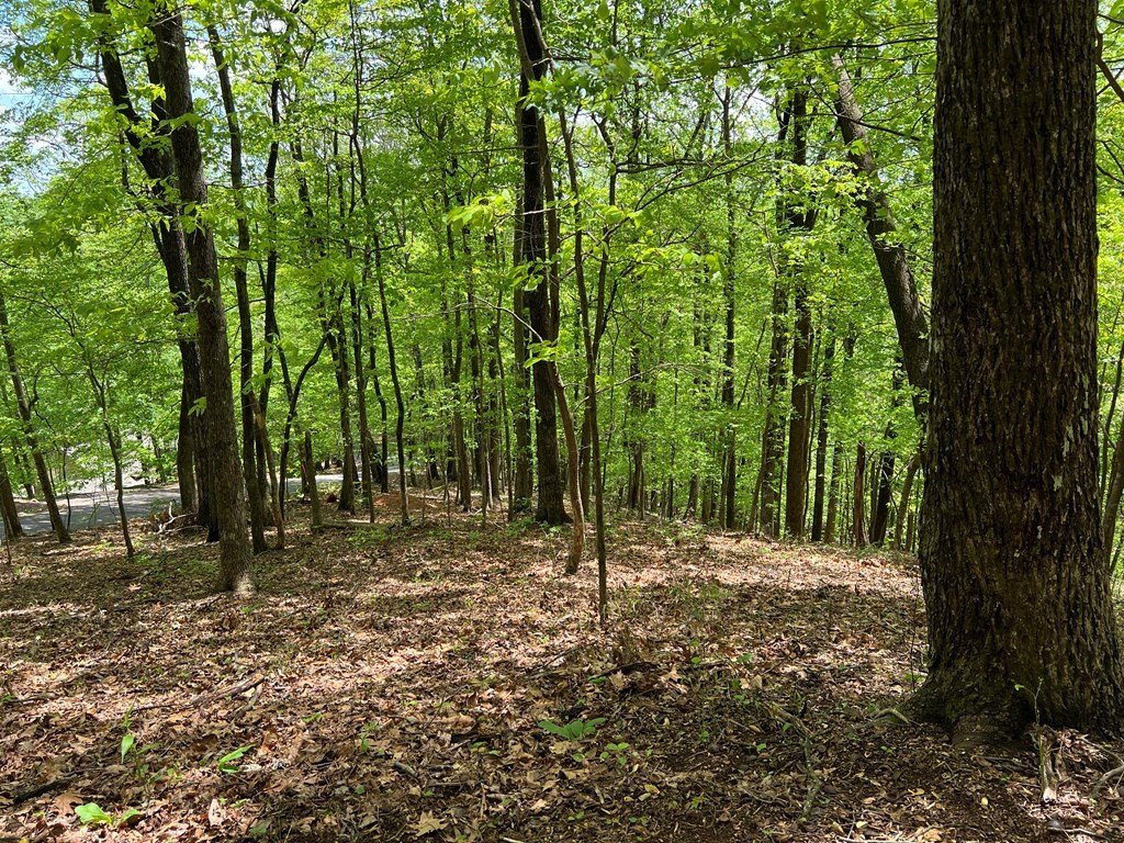 Picture 4