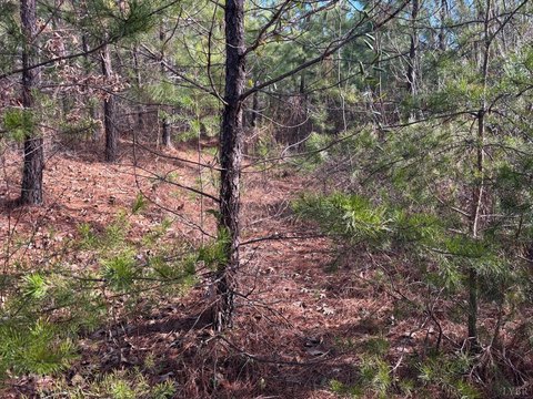 Wooded Land in Long Island, VA