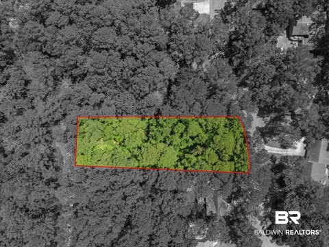 Wooded Single-Family Lot