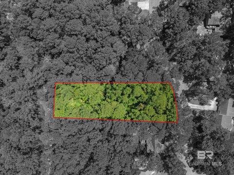 Wooded Single-Family Lot