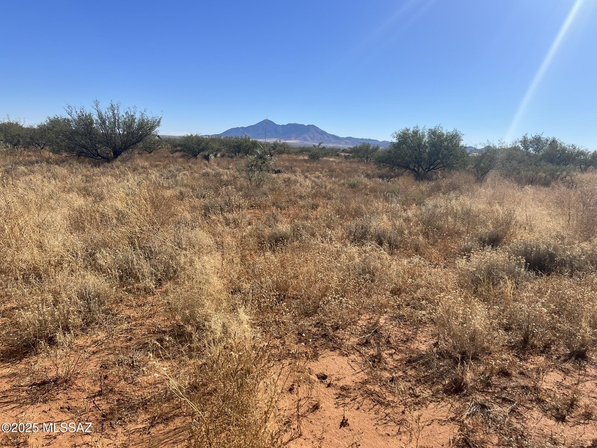 Hereford Land with Mountain Views