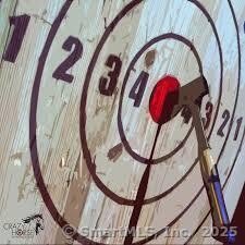 Axe Throwing Bar & Lounge