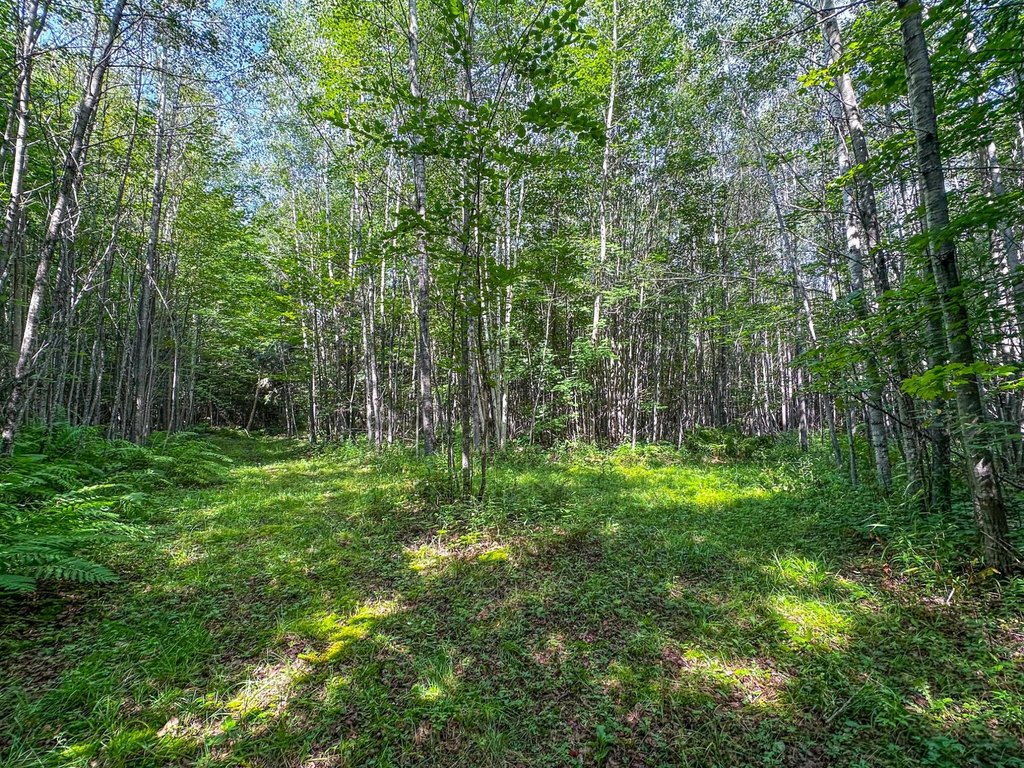 Picture 18