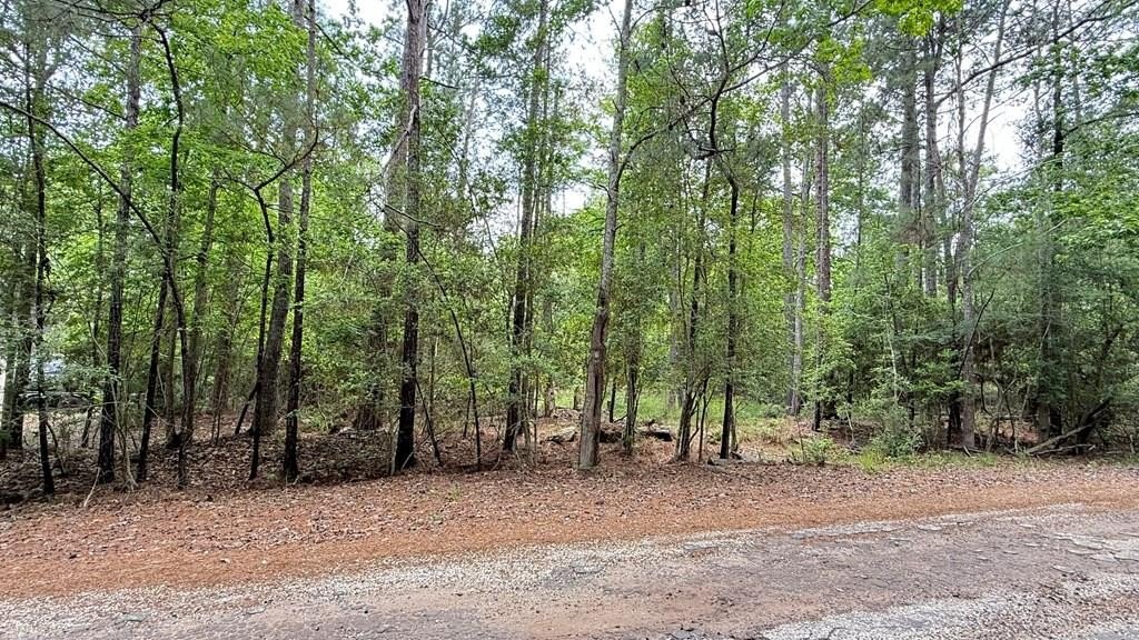 Land Near Lake Sam Rayburn