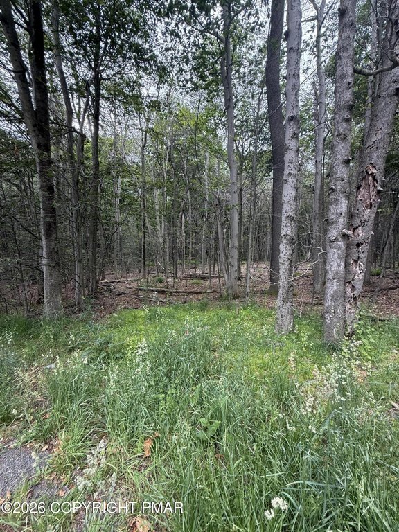 Picture 8