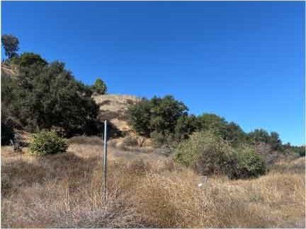 Castaic Land with Scenic Views