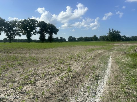 Land, Arnaudville, LA