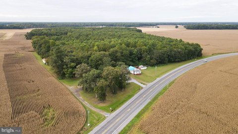 Residential Land in Bridgeville, DE