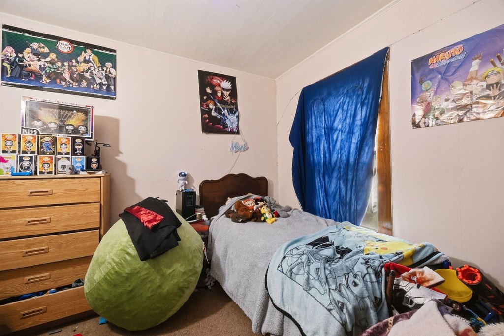 Picture 42