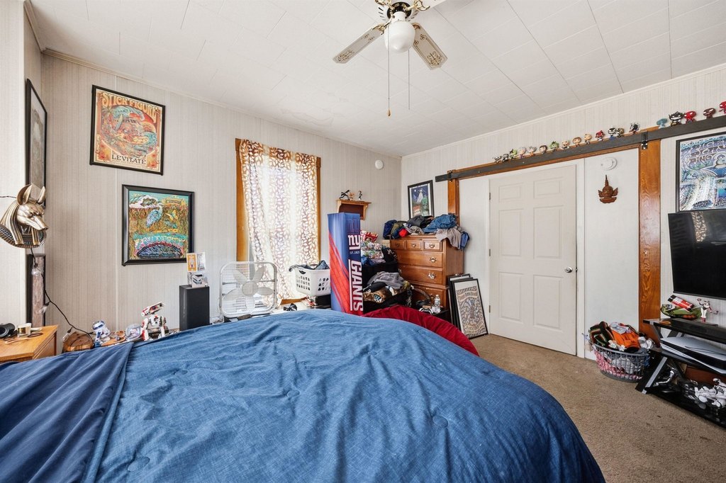 Picture 14
