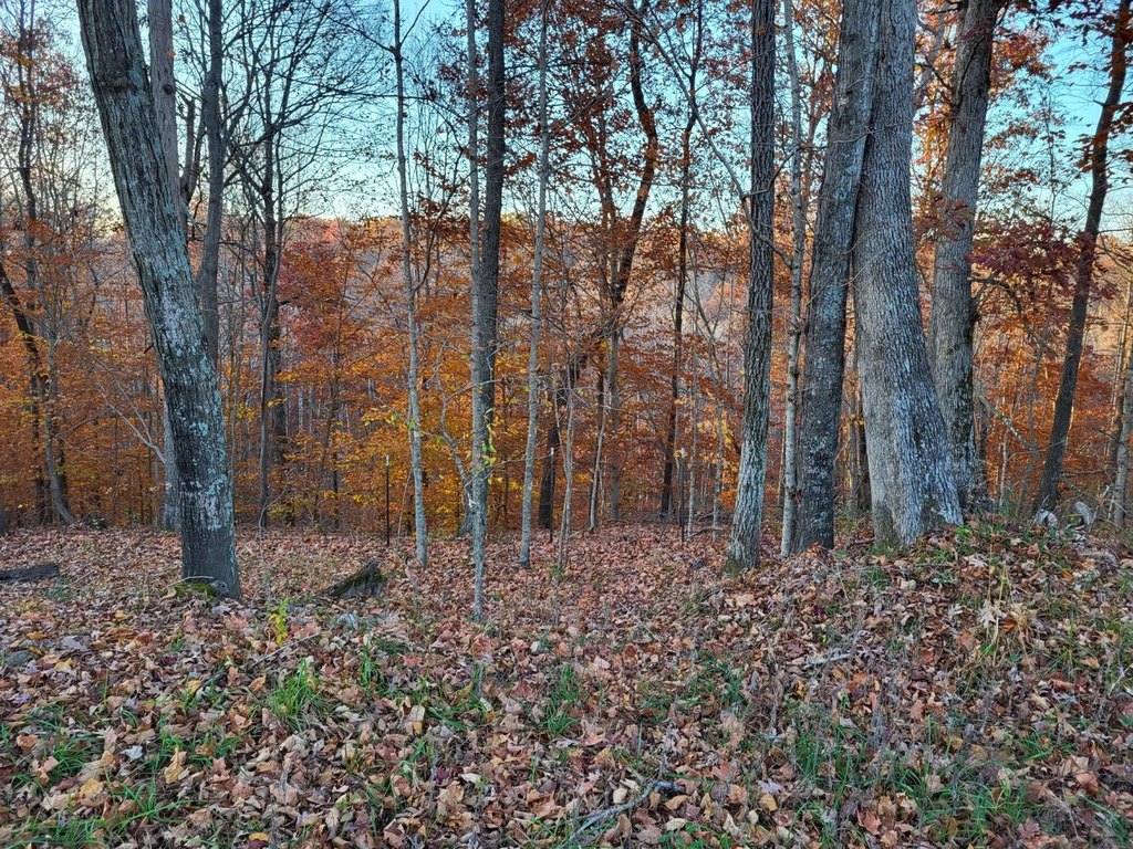 Picture 7