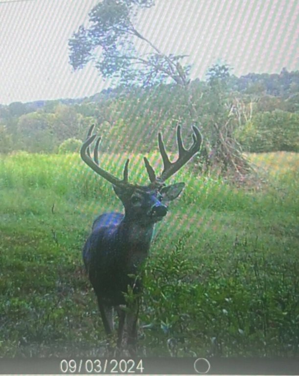 Picture 10