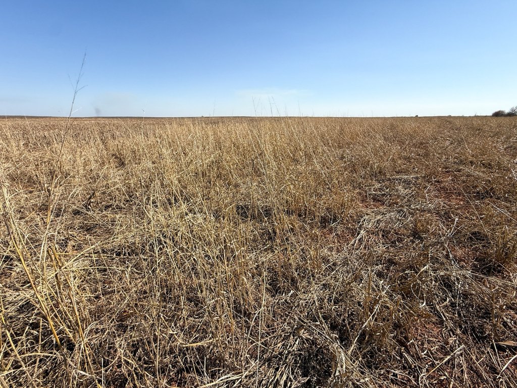 Picture 24