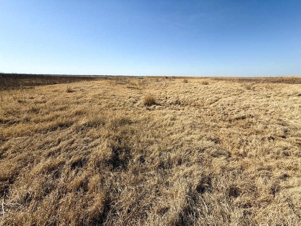Picture 33
