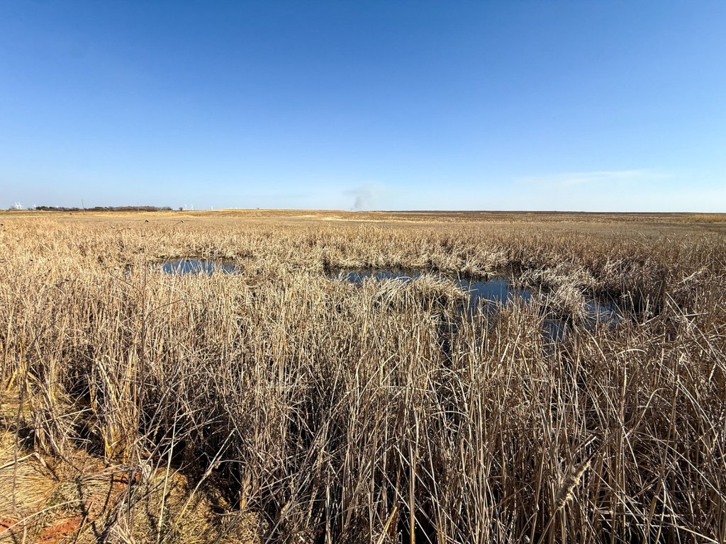 Picture 27