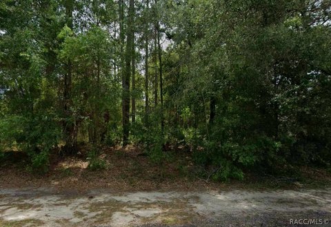 Land, Dunnellon, FL