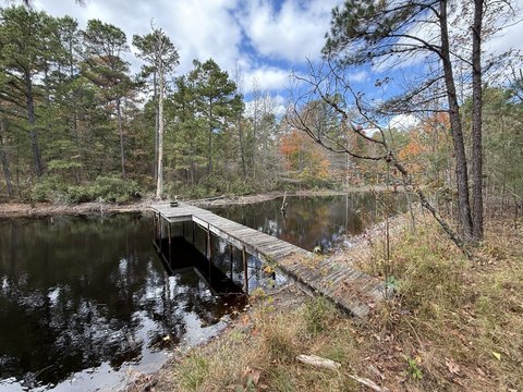 Turnkey Hunting Tract with Cabin