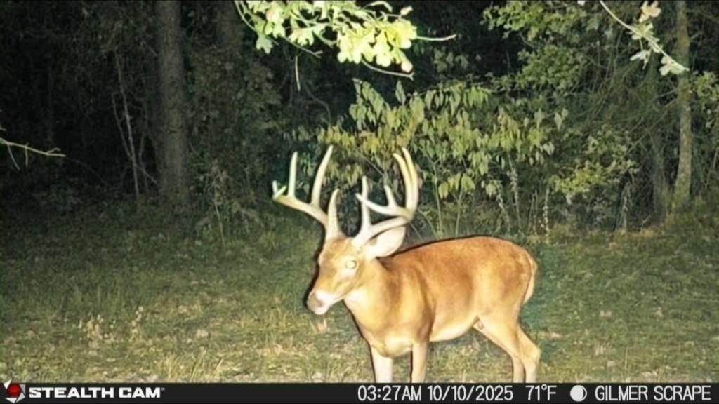 Picture 6