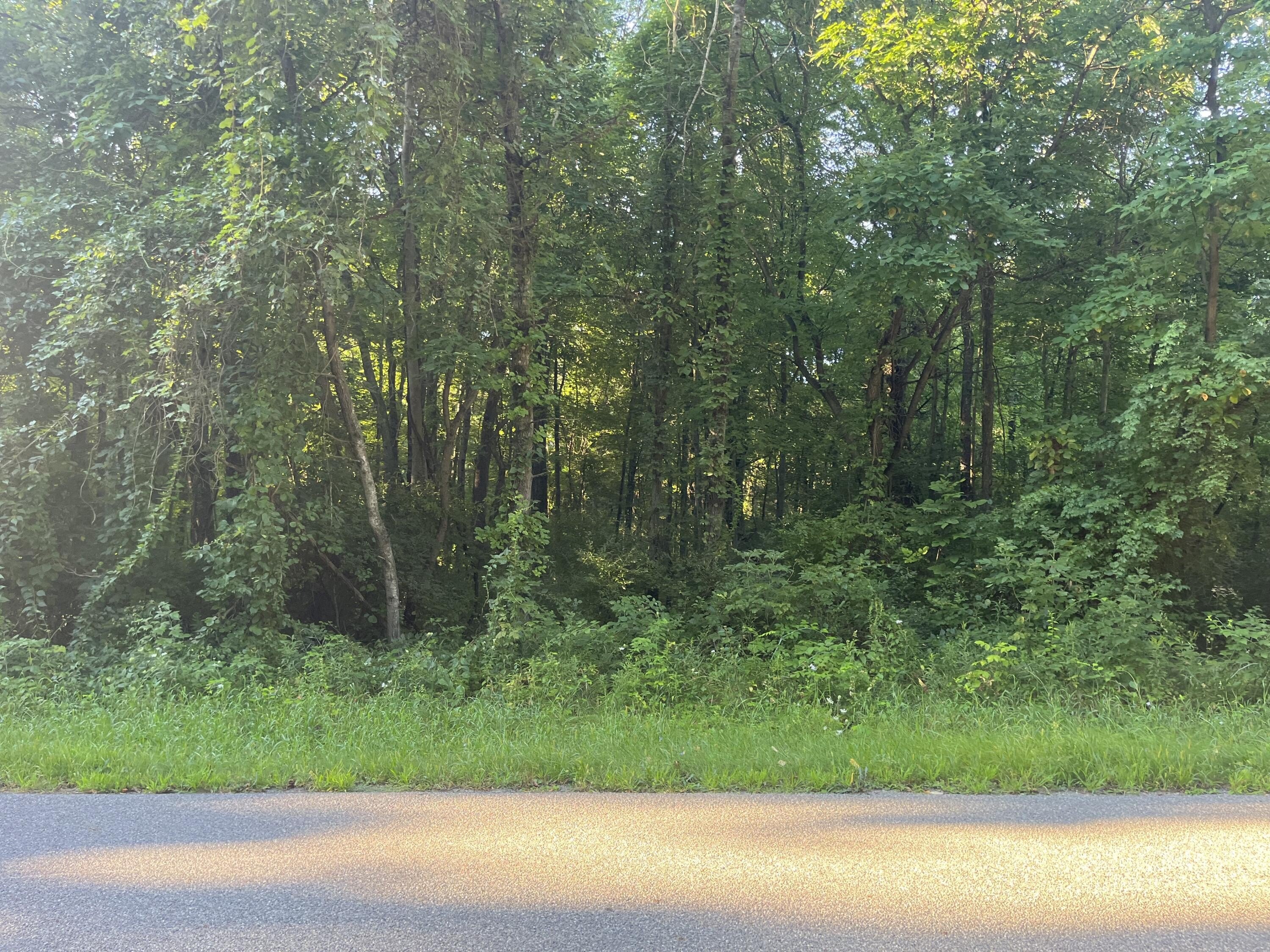 Lowell Wooded Land For Sale