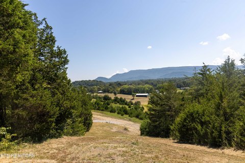 Seymour, TN Land Opportunity