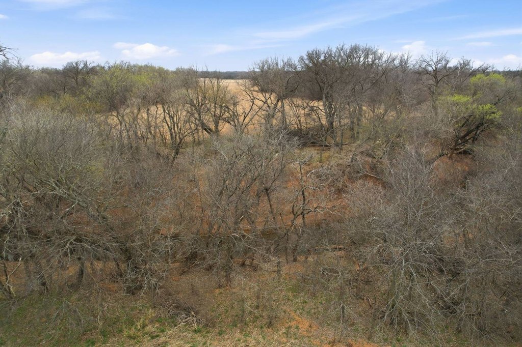 Picture 24