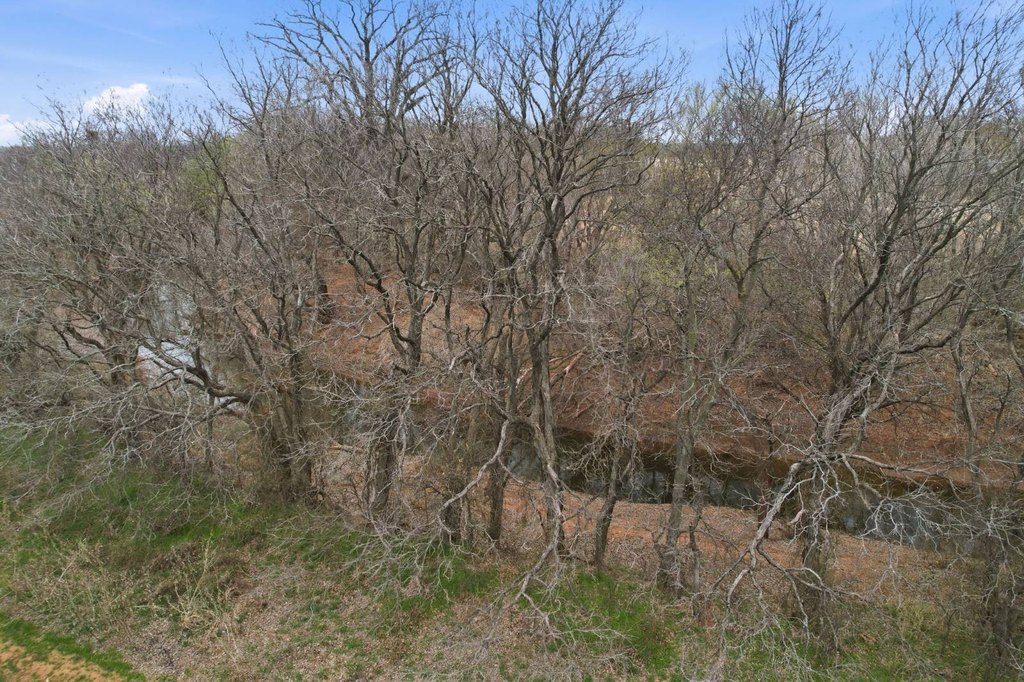 Picture 25