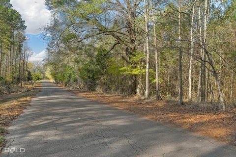 Residential Land in Plain Dealing
