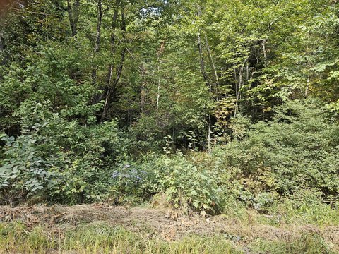 Two-Acre Wooded Parcel in Maine