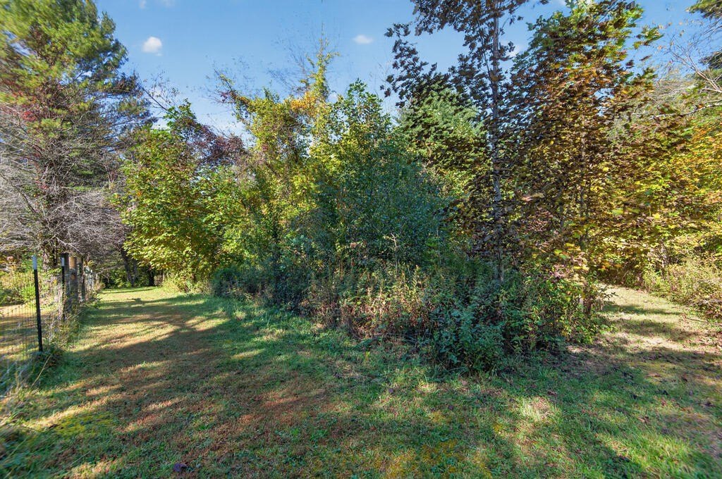 Picture 14